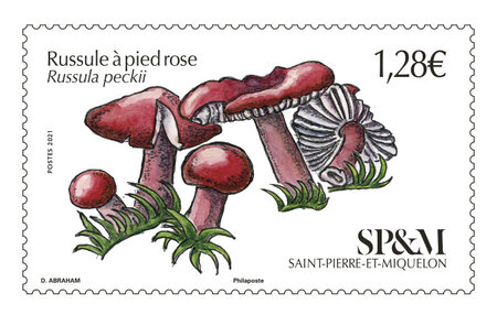 Timbre Saint Pierre et Miquelon - Russule à pied rose