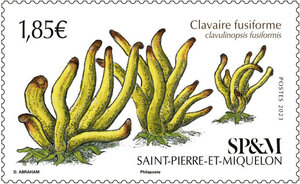 Timbre Saint Pierre et Miquelon - Clavaire fusiforme