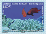 Timbre TAAF - Les fonds marins des TAAF