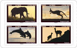 Carnet de 12 timbres - Animaux au crépuscule - Lettre Verte