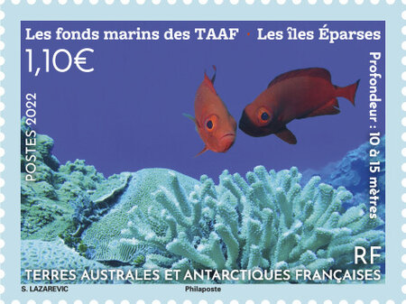 Timbre TAAF - Les fonds marins des TAAF