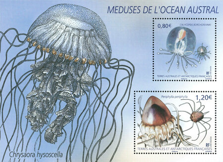 Bloc 2 timbres TAAF - Méduses de l'Océan austral