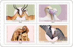 Carnet de 12 timbres - Tendres animaux - Lettre Verte