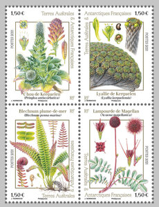 Bloc 4 timbres TAAF - Flore des Kerguelen
